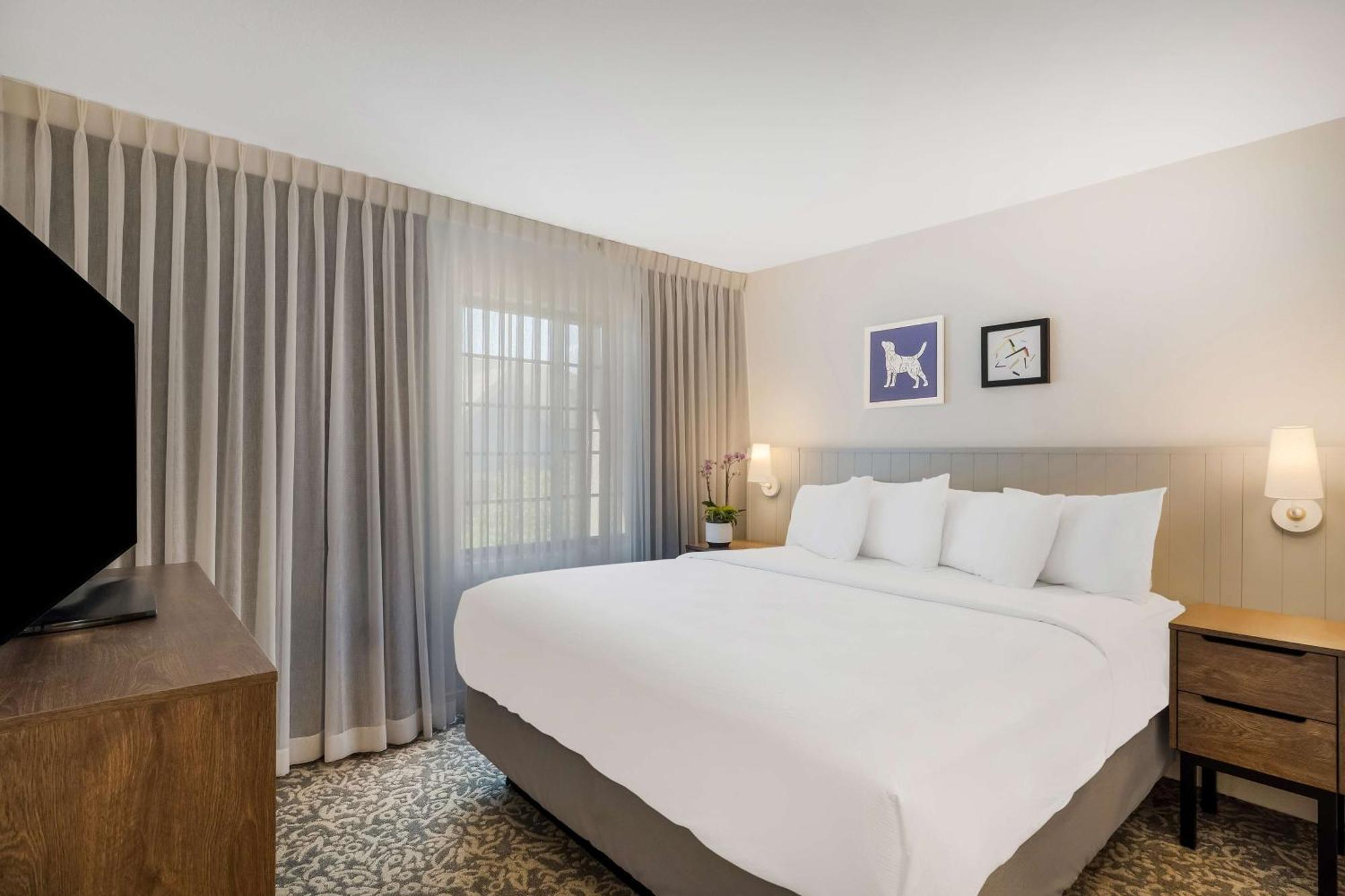 Sonesta Es Suites Denver South Park Meadows ローン・ツリー エクステリア 写真