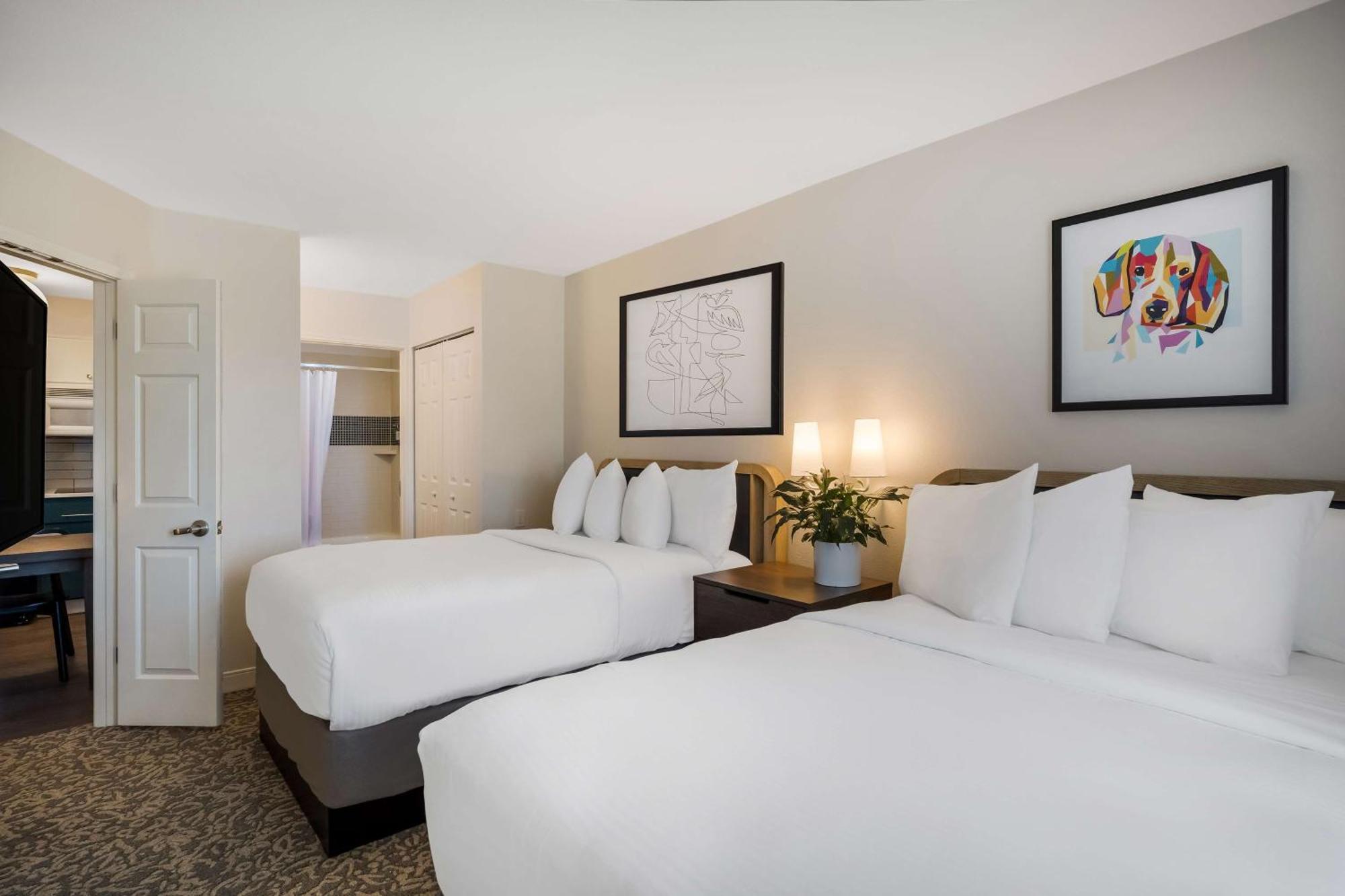 Sonesta Es Suites Denver South Park Meadows ローン・ツリー エクステリア 写真